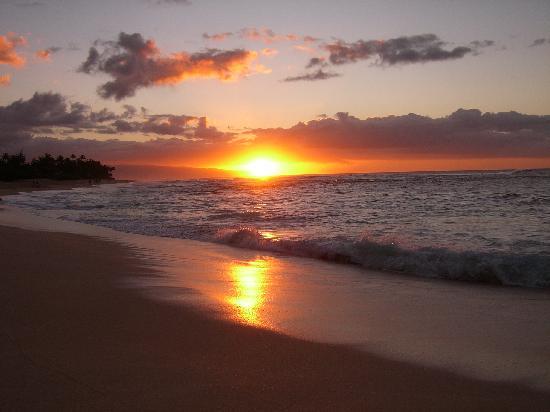 トリップアドバイザー提供