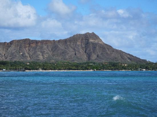 トリップアドバイザー提供