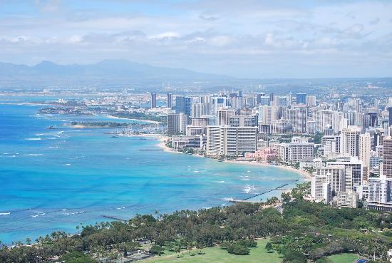 トリップアドバイザー提供