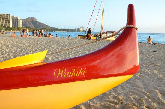 トリップアドバイザー提供