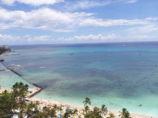 トリップアドバイザー提供