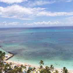 トリップアドバイザー提供