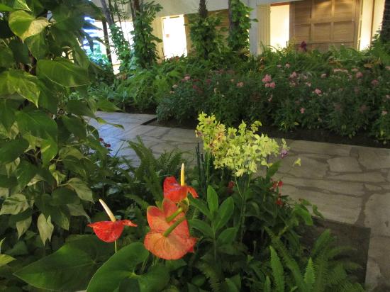 トリップアドバイザー提供