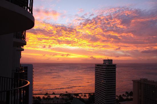 トリップアドバイザー提供