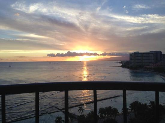 トリップアドバイザー提供