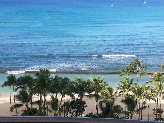 トリップアドバイザー提供