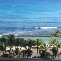 トリップアドバイザー提供