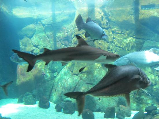 トリップアドバイザー提供