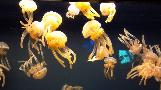 トリップアドバイザー提供