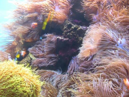 トリップアドバイザー提供