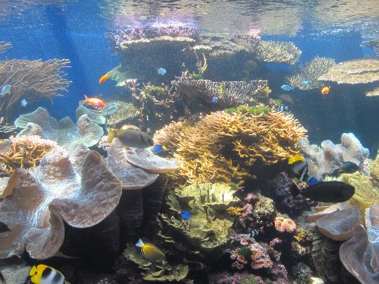 トリップアドバイザー提供