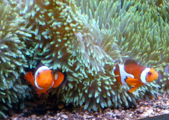 トリップアドバイザー提供