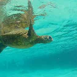 トリップアドバイザー提供