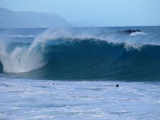 トリップアドバイザー提供