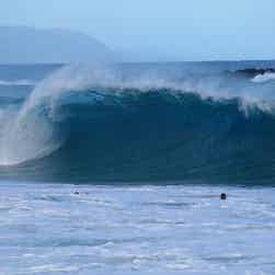 トリップアドバイザー提供