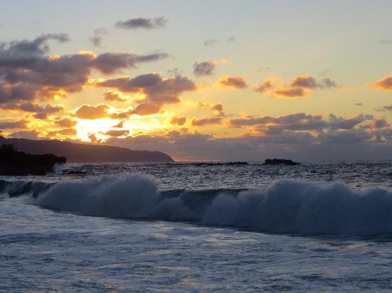 トリップアドバイザー提供