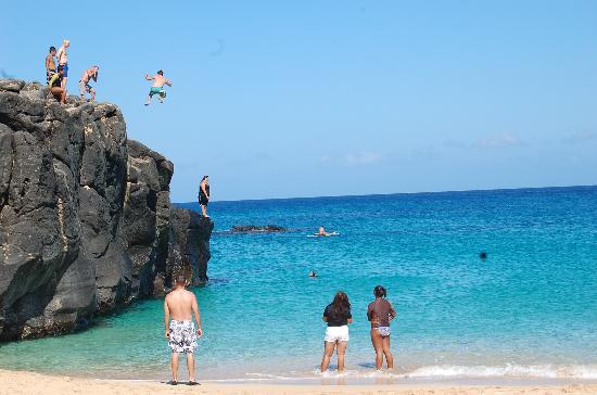 トリップアドバイザー提供