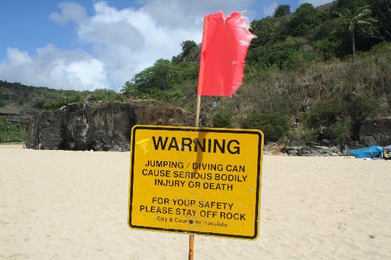 トリップアドバイザー提供