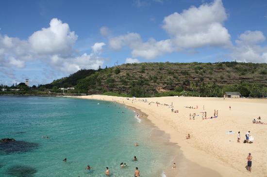 トリップアドバイザー提供