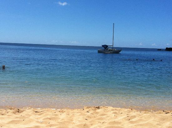 トリップアドバイザー提供