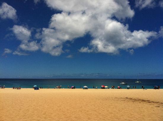 トリップアドバイザー提供