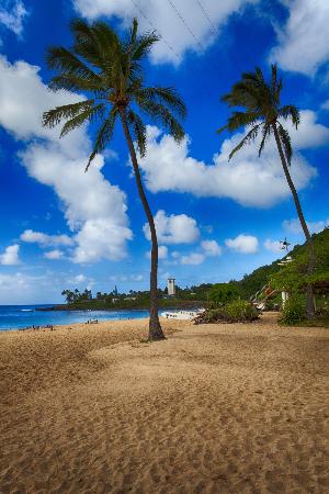 トリップアドバイザー提供