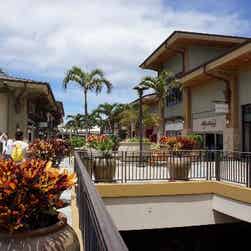 トリップアドバイザー提供