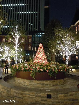 トリップアドバイザー提供