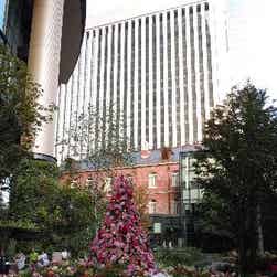 トリップアドバイザー提供