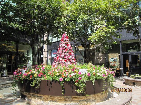 トリップアドバイザー提供