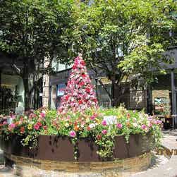 トリップアドバイザー提供