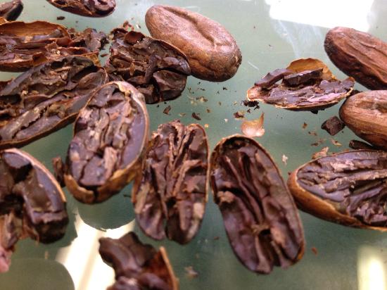 トリップアドバイザー提供