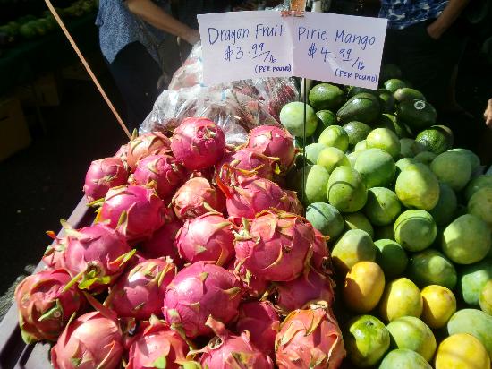 トリップアドバイザー提供