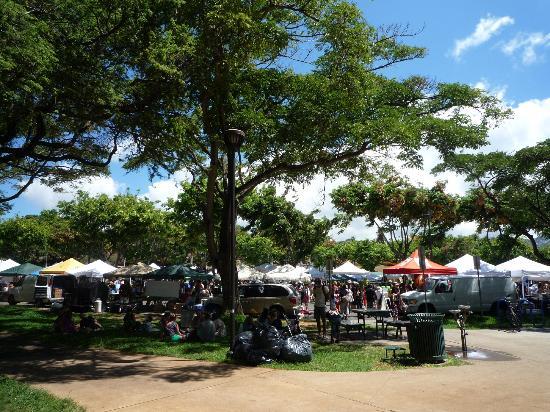 トリップアドバイザー提供