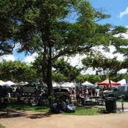 トリップアドバイザー提供