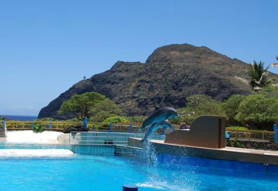 トリップアドバイザー提供