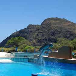 トリップアドバイザー提供