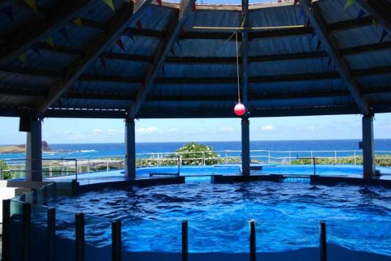 トリップアドバイザー提供