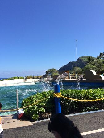 トリップアドバイザー提供