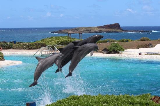 トリップアドバイザー提供