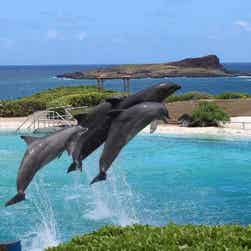 トリップアドバイザー提供