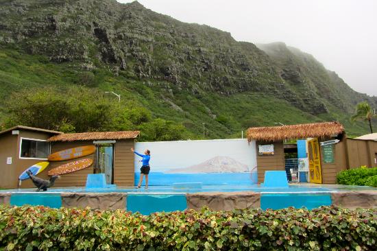 トリップアドバイザー提供