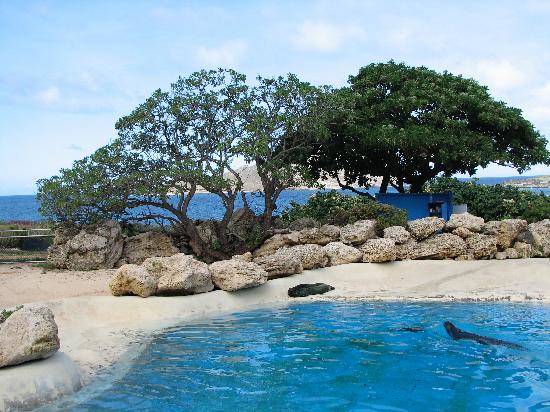 トリップアドバイザー提供