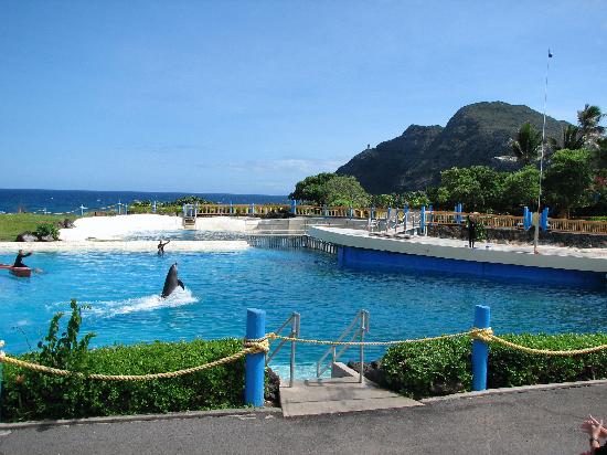 トリップアドバイザー提供