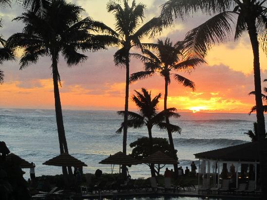 トリップアドバイザー提供