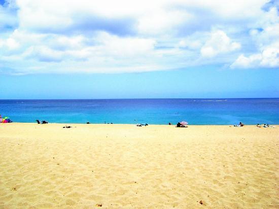 トリップアドバイザー提供