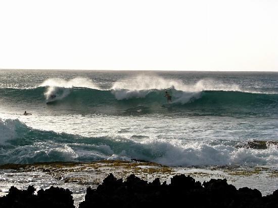 トリップアドバイザー提供