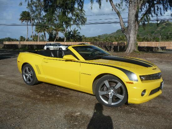 トリップアドバイザー提供