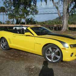 トリップアドバイザー提供