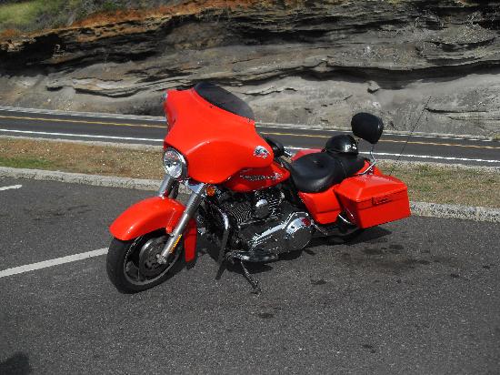 トリップアドバイザー提供